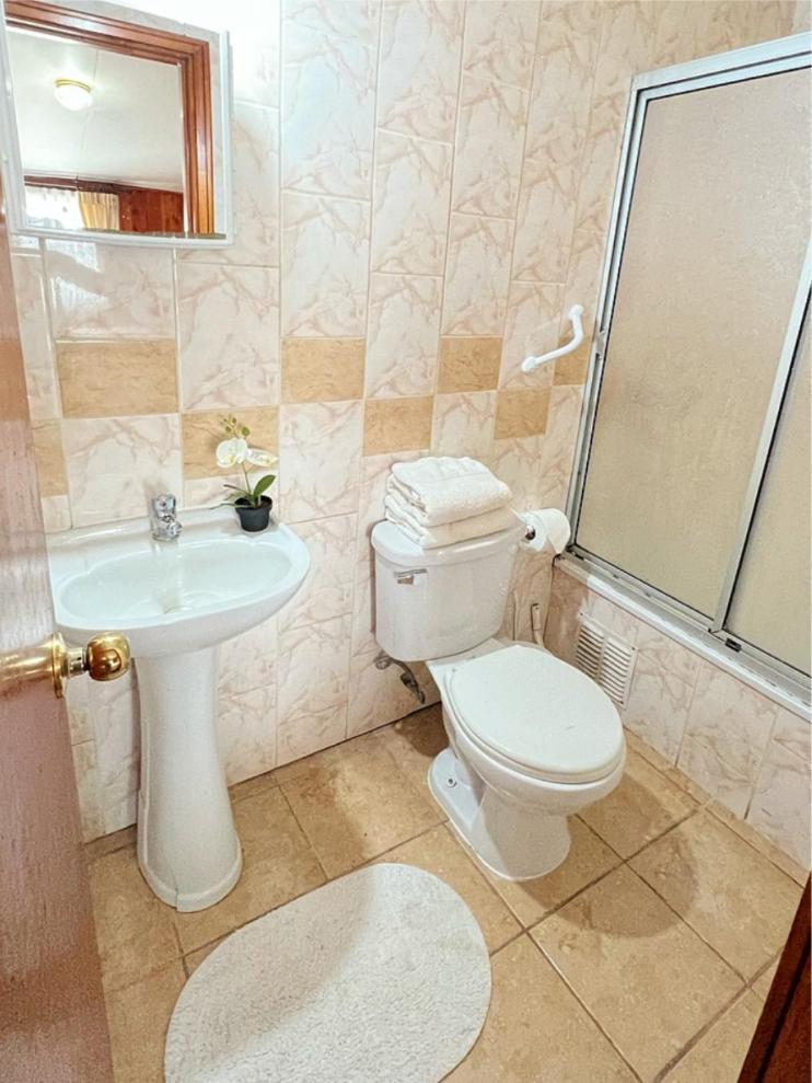Hostal Feliza Valdivia Εξωτερικό φωτογραφία